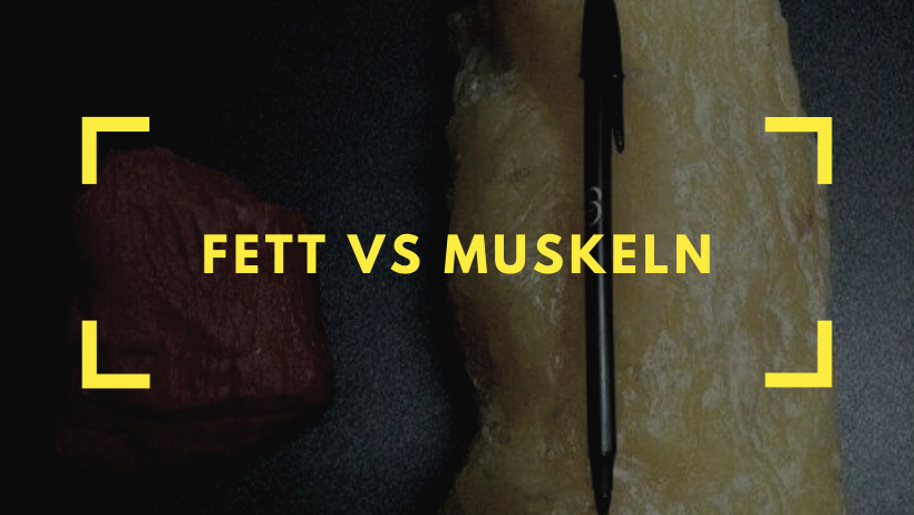 Fett vs. Muskeln