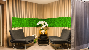 Sitzecke im Fitlab Stuttgart mit grüner Mooswand – Bereich für Beratung und Anamnese.