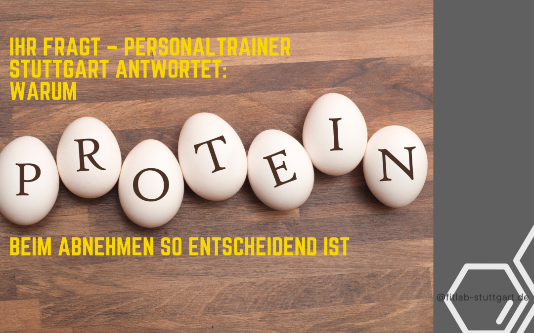Ihr fragt – Personaltrainer Stuttgart antwortet:  Warum Protein beim Abnehmen so entscheidend ist